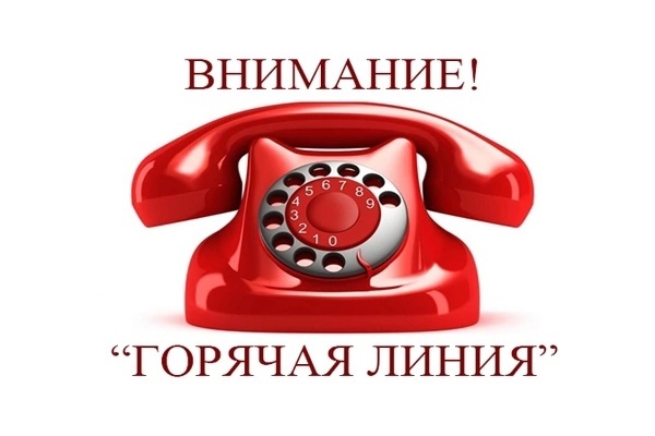 Горячая линия по вопросам порядка проведения тестирования на знание русского языка.